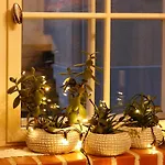 Gildi Dolce Vita, Appartement
