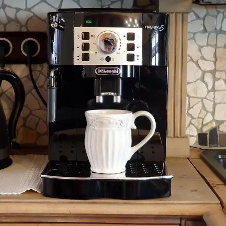 Gildi Dolce Vita, Tartu