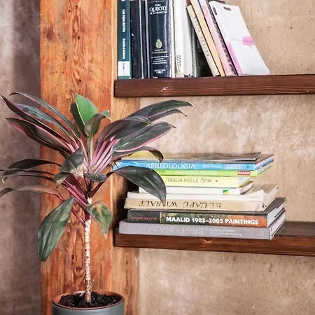 Gildi Dolce Vita, * Tartu