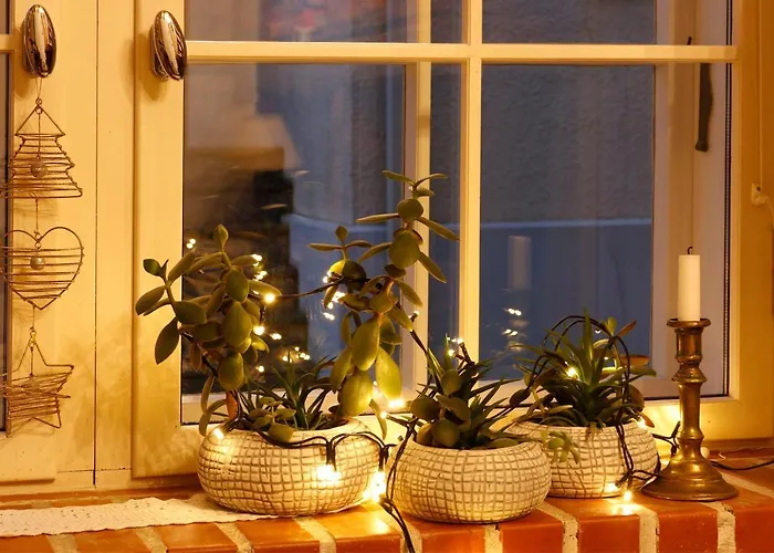 Gildi Dolce Vita, Lägenhet