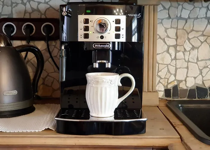 Gildi Dolce Vita, Tartu