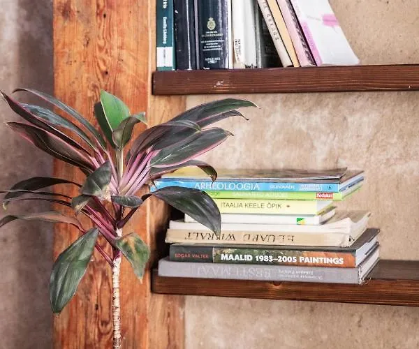 Gildi Dolce Vita, * Tartu